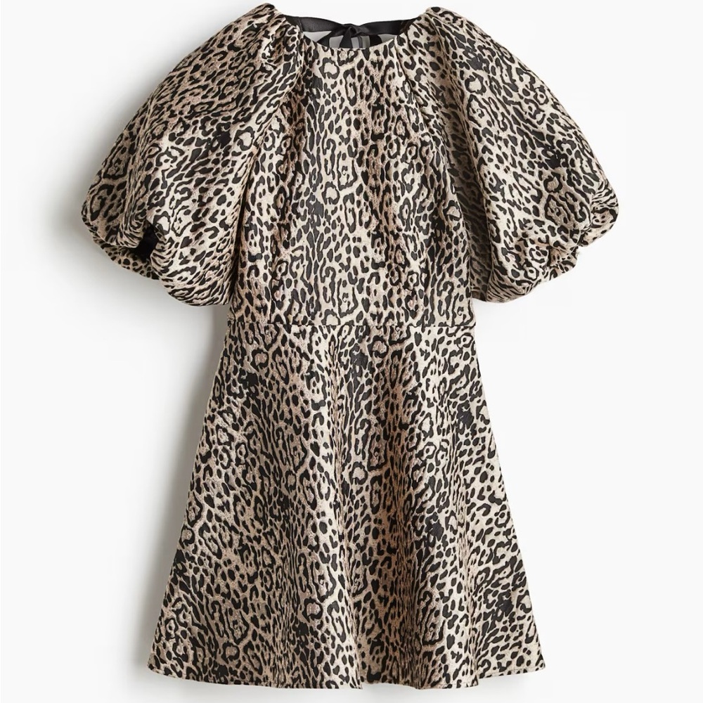 H&M Leopard Print Dress - Black and Tan